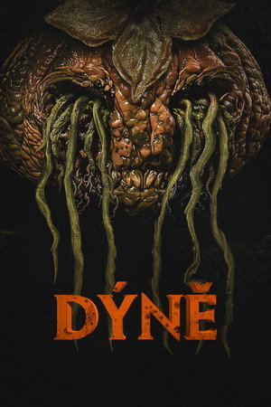 Dýně